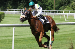 Environmental Sustainability in Horse Racing