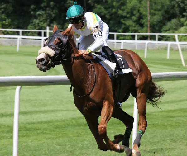 Environmental Sustainability in Horse Racing