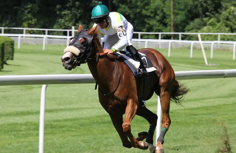 Environmental Sustainability in Horse Racing